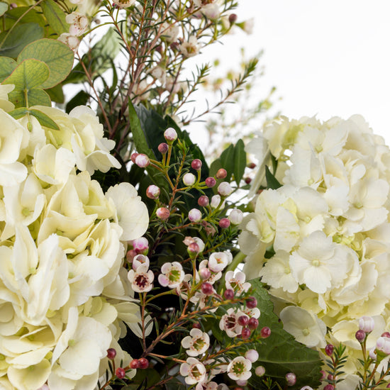 RAMO "HORTENSIAS BLANCAS"
