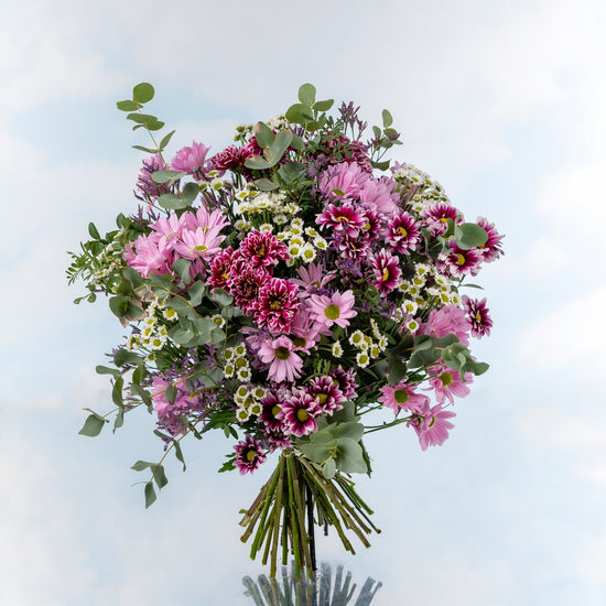 RAMO "DESTELLO FUCSIA"