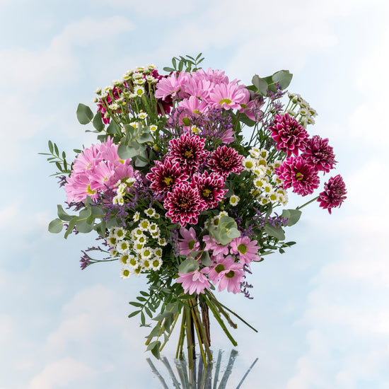 RAMO "DESTELLO FUCSIA"