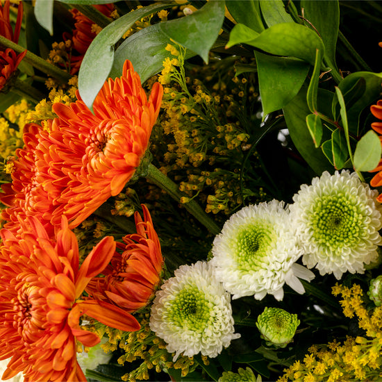 RAMO "AMARILLO DEL ALBA"