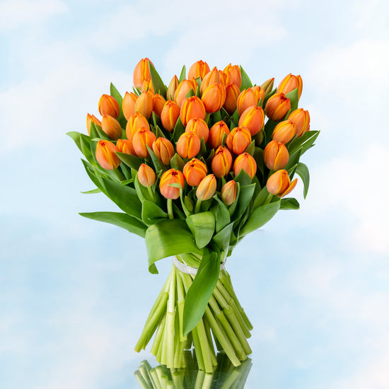 TULIPANES NARANJA