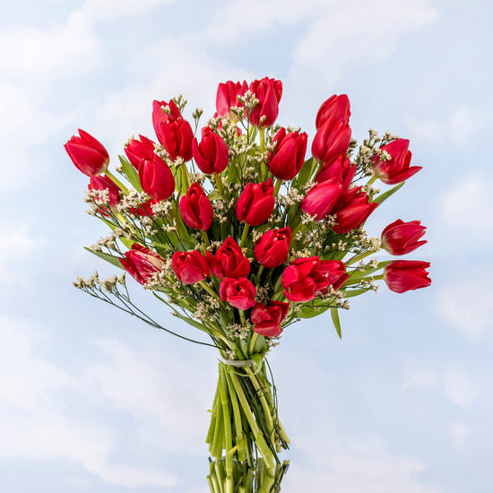 TULIPANES ROJOS CON FLORES SILVESTRES