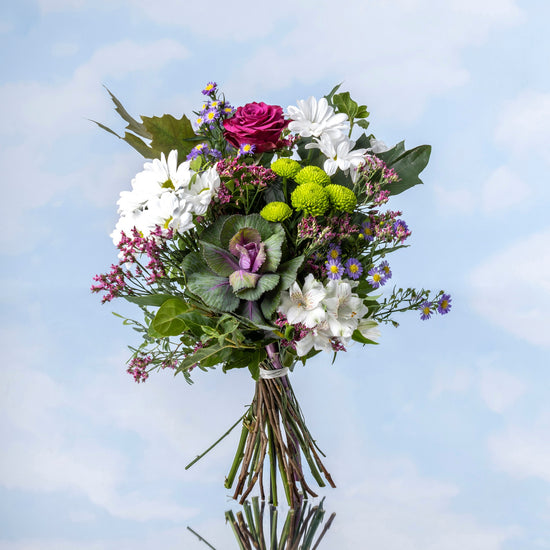 RAMO "ÚLTIMOS DESTELLOS"