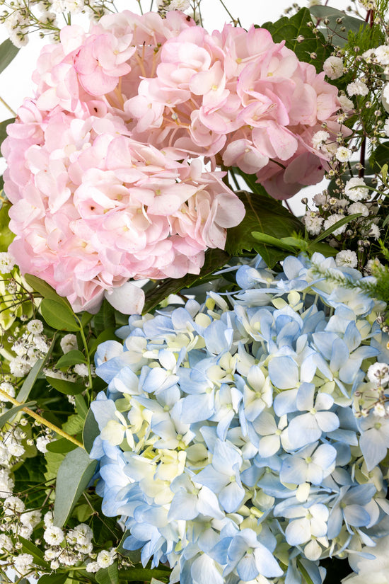 RAMO "HORTENSIAS MULTICOLOR"