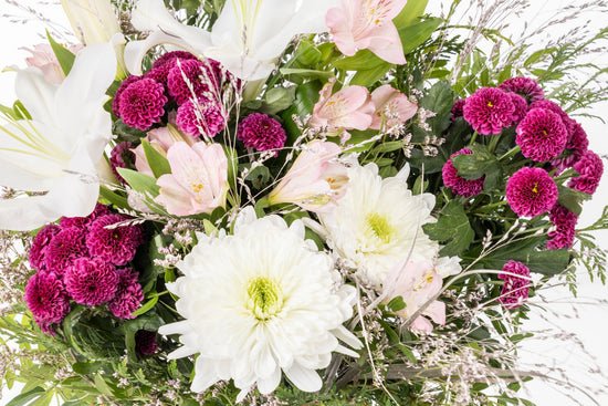 RAMO "NOCHE DE ESTRELLAS"