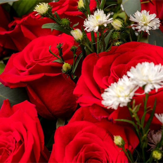 RAMO "PASION ARDIENTE"