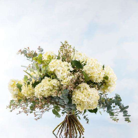 RAMO "HORTENSIAS BLANCAS"