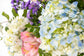 RAMO "HORTENSIAS AZULADAS"