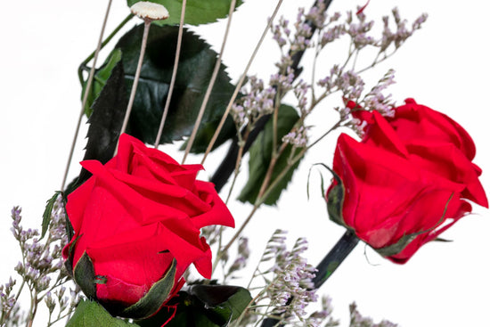 ROSA ROJA PRESERVADA EN CÚPULA DE CRISTAL GRANDE