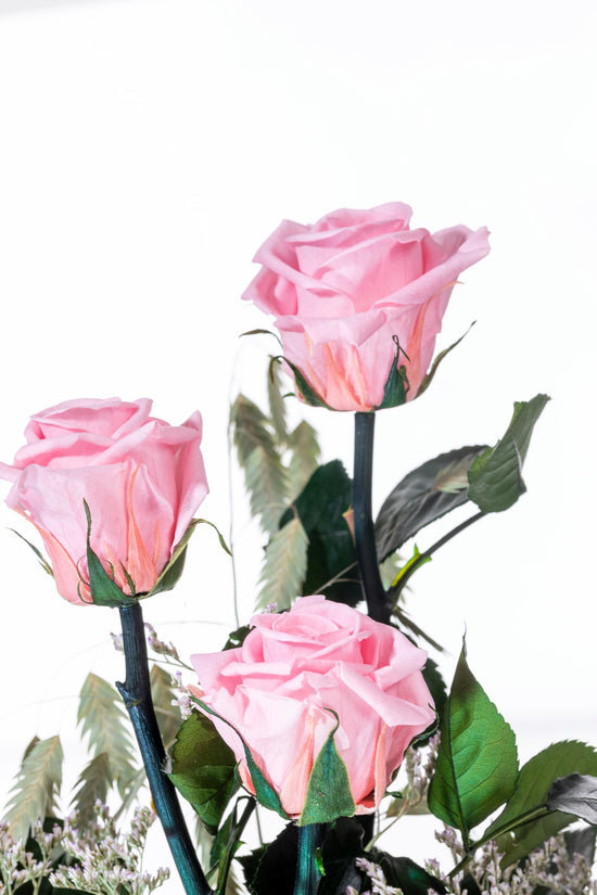 ROSA ROSA PRESERVADA EN CÚPULA DE CRISTAL GRANDE