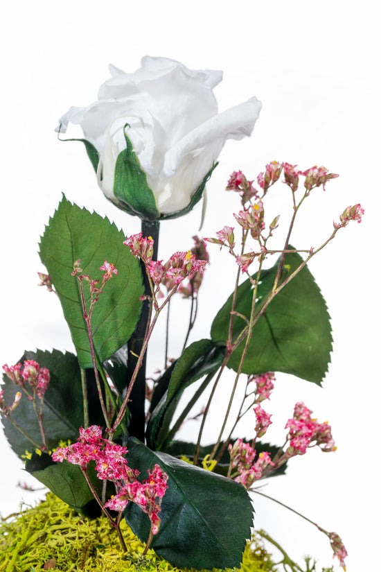 ROSA BLANCA PRESERVADA EN CÚPULA DE CRISTAL MEDIANA