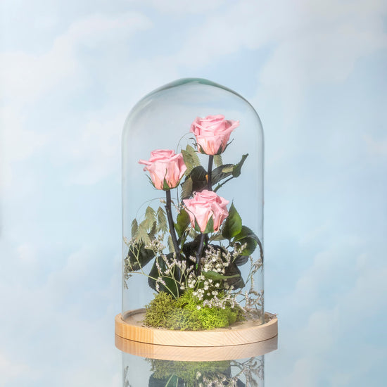 ROSA ROSA PRESERVADA EN CÚPULA DE CRISTAL GRANDE