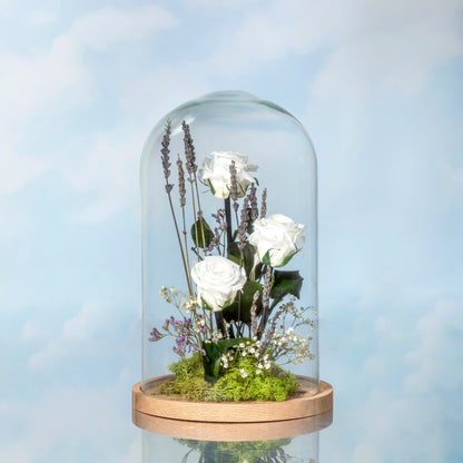 ROSA BLANCA PRESERVADA EN CÚPULA DE CRISTAL GRANDE