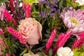 RAMO "ROSA DEL ESTÍO"