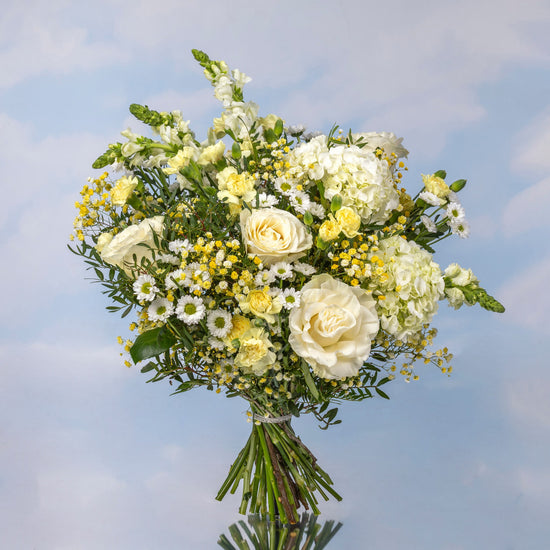 RAMO "CLARIDAD DE INVIERNO"