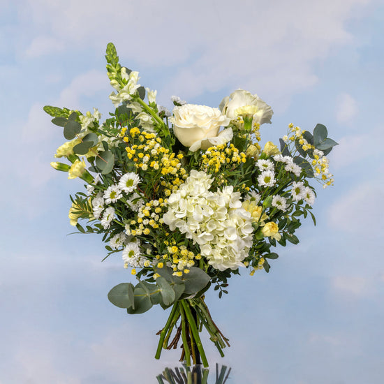 RAMO "CLARIDAD DE INVIERNO"