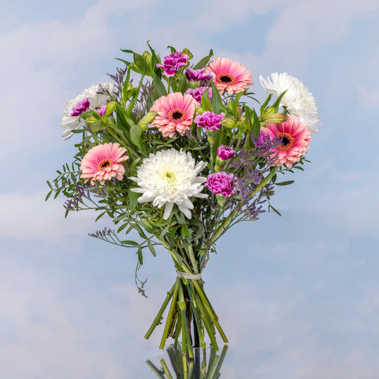 RAMO "CÁLIDO DE INVIERNO"