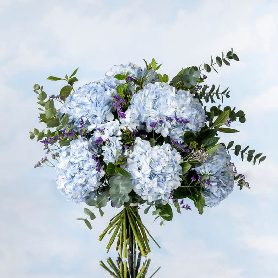 RAMO "HORTENSIAS AZULES"