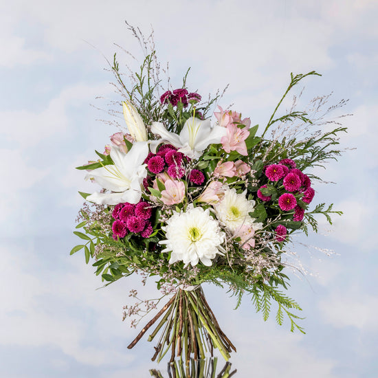 RAMO "NOCHE DE ESTRELLAS"