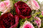 BURBUJA DE PEONIAS ROJAS Y ROSAS ROSADAS