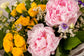 BURBUJA DE PEONIAS SARAH BERNHARDT Y ROSA SPRAY