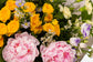 BURBUJA DE PEONIAS SARAH BERNHARDT Y ROSA SPRAY